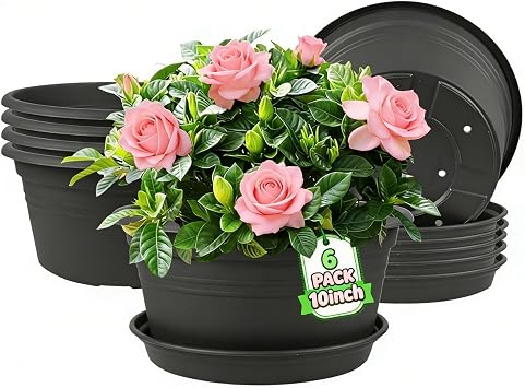 6 Pack 10 inch Plastic Plant Pots, Flower Pot with Drainage Hole and Saucer, Classic Indoor Outdoor Dark Gray Plant Pots for All House Plants Garden Flowers