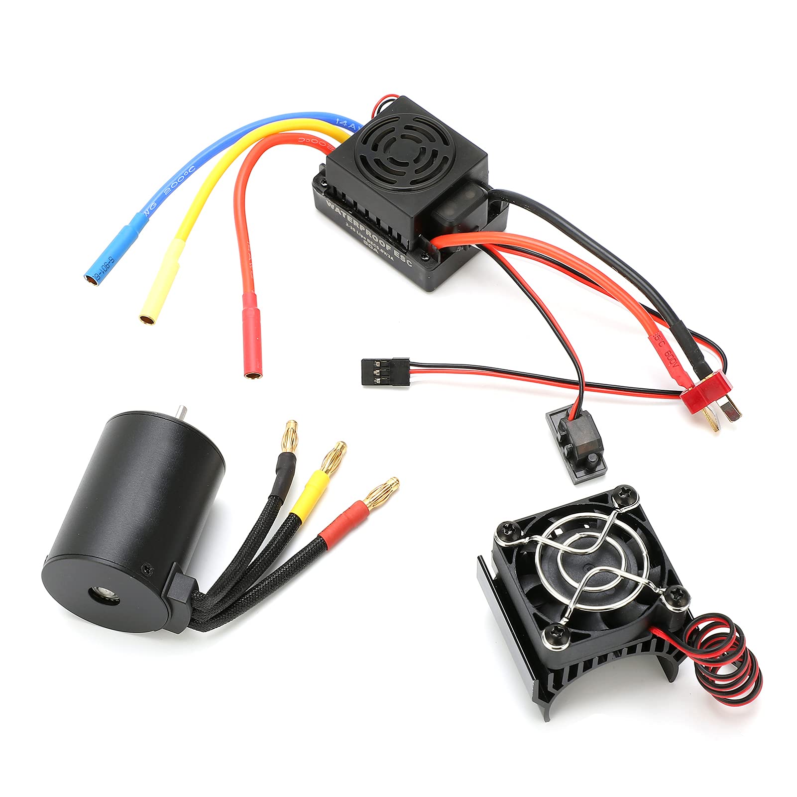 3650 3100KV MOTORE A 4 POSTRO IN MAPIONE SENZA ECCOBILLAS 6.