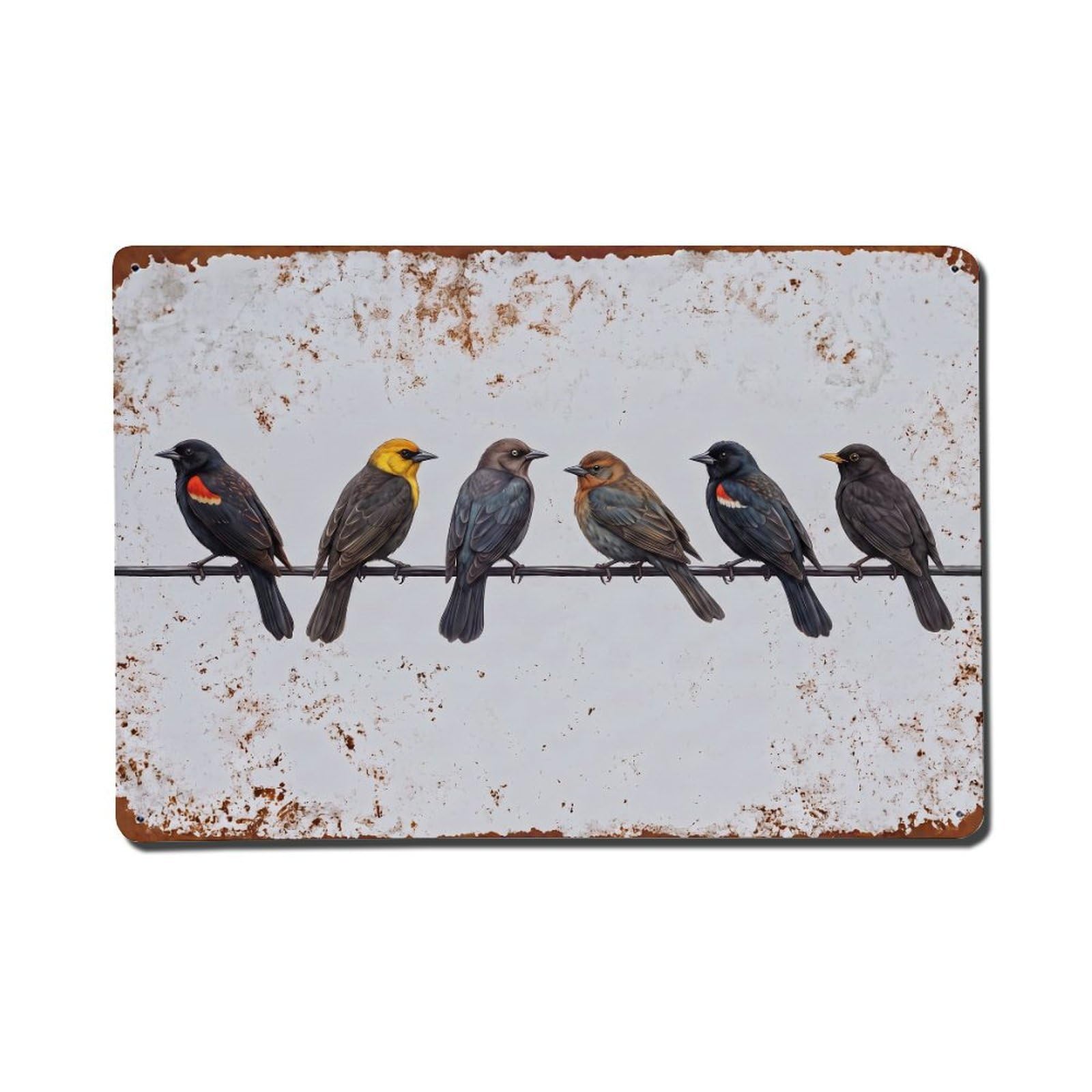 Vintage Retro Birds Blackbird Metal Tin Sign
