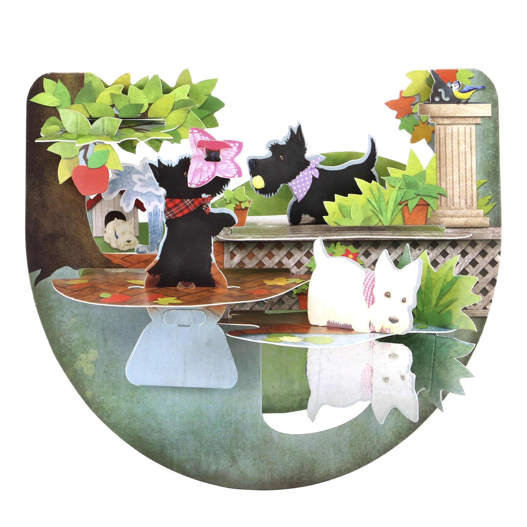 Santoro Men's Dog Popnrock, 3D Pop Up Greeting Card - Scottie S - For Her, For Him, Lover, Birthday