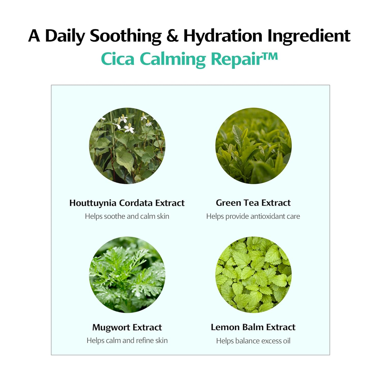 Minari Calming Gel Serum for face – K-Beauty Hydrating & Soothing Face Serum with Korean Water Parsley, Green Tea, Mugwort & Lemon Balm Extracts, 30ml/1.01oz