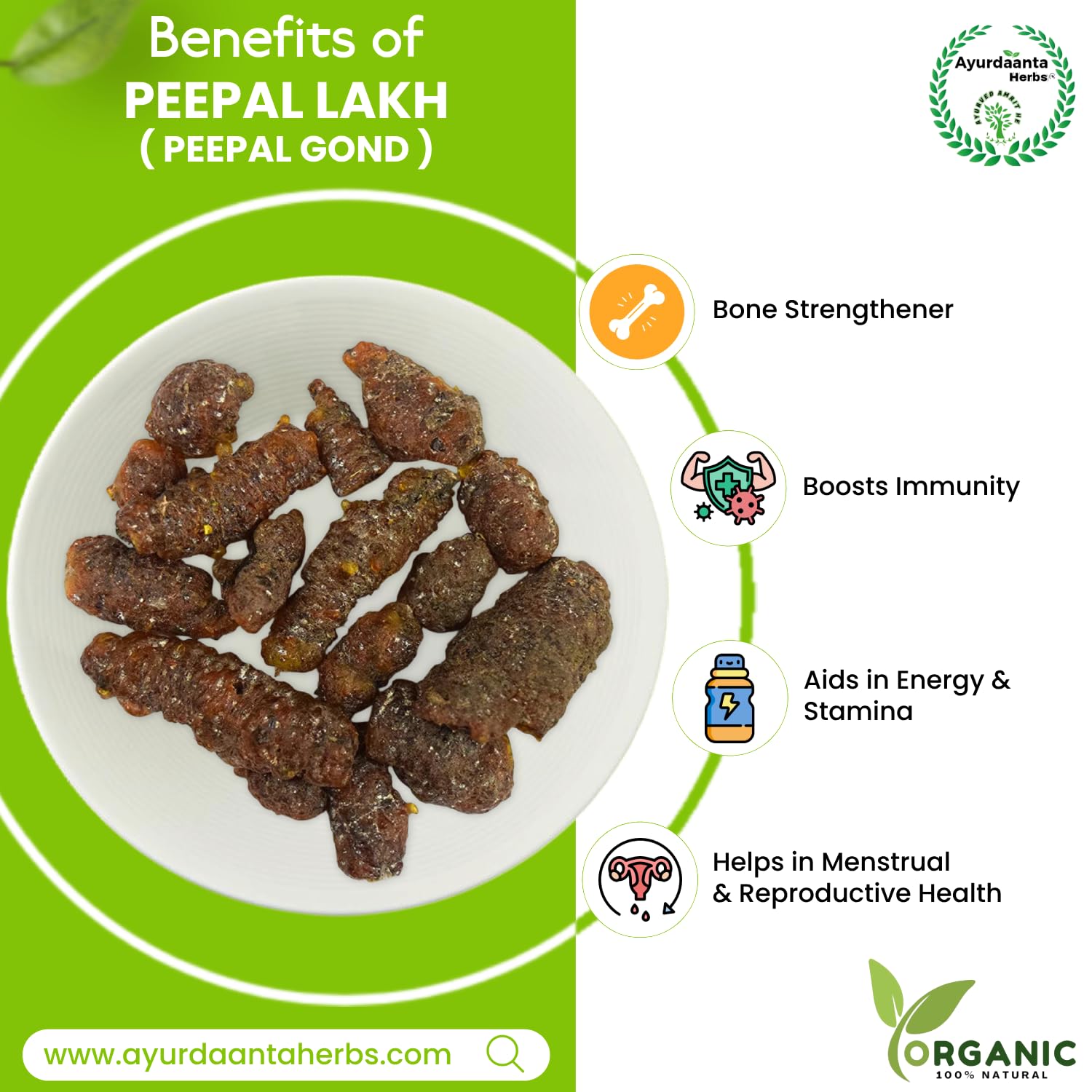 Ayurdaanta Herbs - Peepal Gond/peepal Lakh 100 Gr. Lakh Pipal 100Gr.|Lakh Peepal | Holy Fig Tree | लाख पीपल 100 Gr.| पीपल लाख 100 Gr.| पीपल गोंद 100 Gr | गोंद पीपल 100 Gr 4