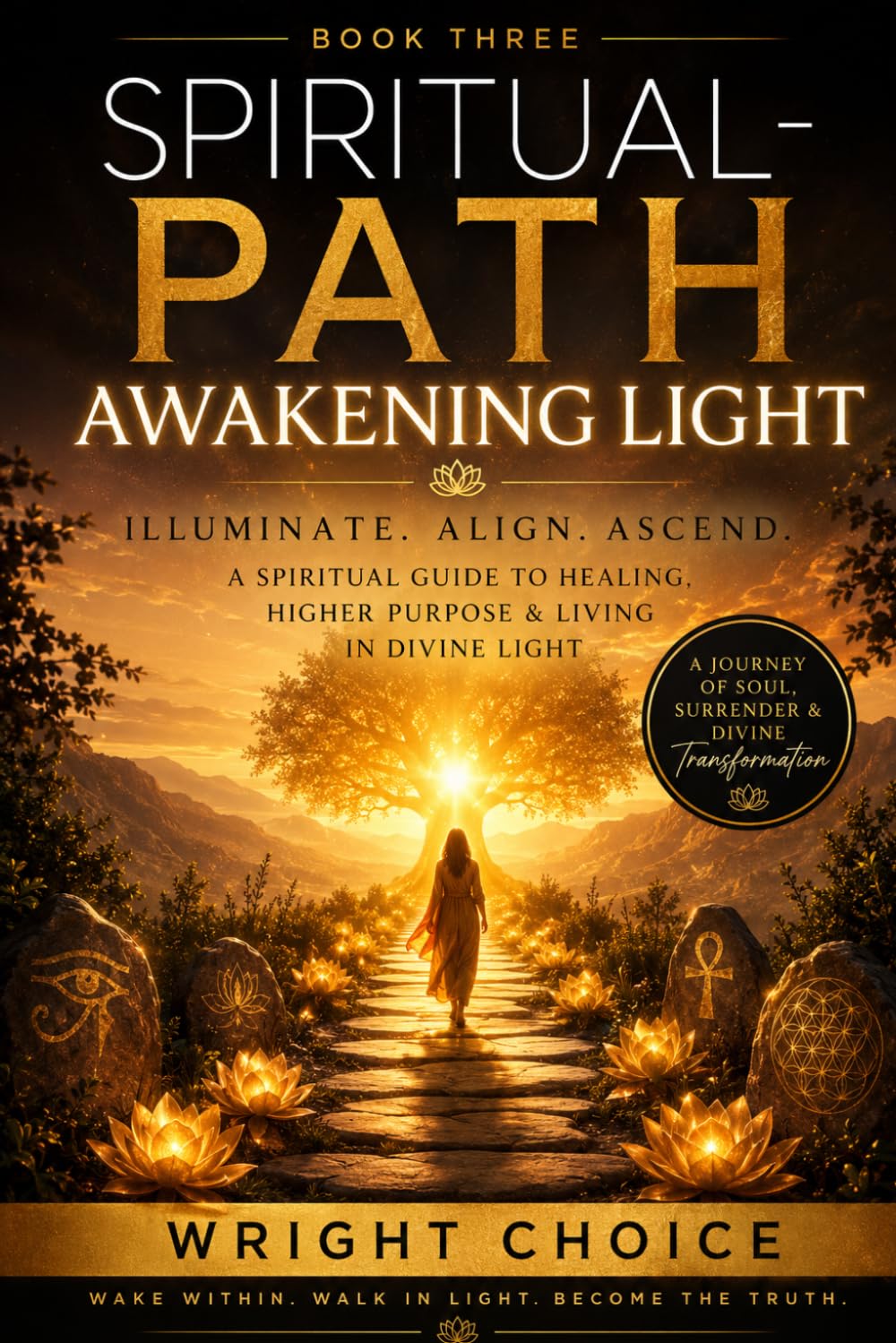 Spiritual Path Awakening Light: 3