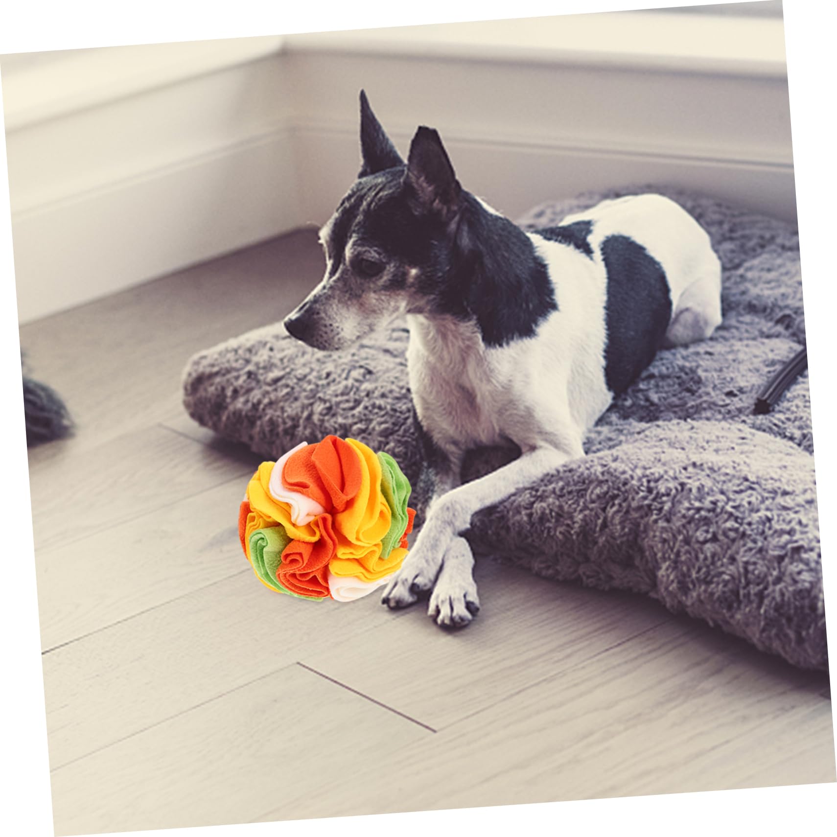 Kisangel 3stücke Hundeschnüffelball Interaktives Spielzeug Für Hunde Slow Feeder Zur des Fressverhaltens Langlebig Und Waschbar Für Welpen Und Kleine Hunde
