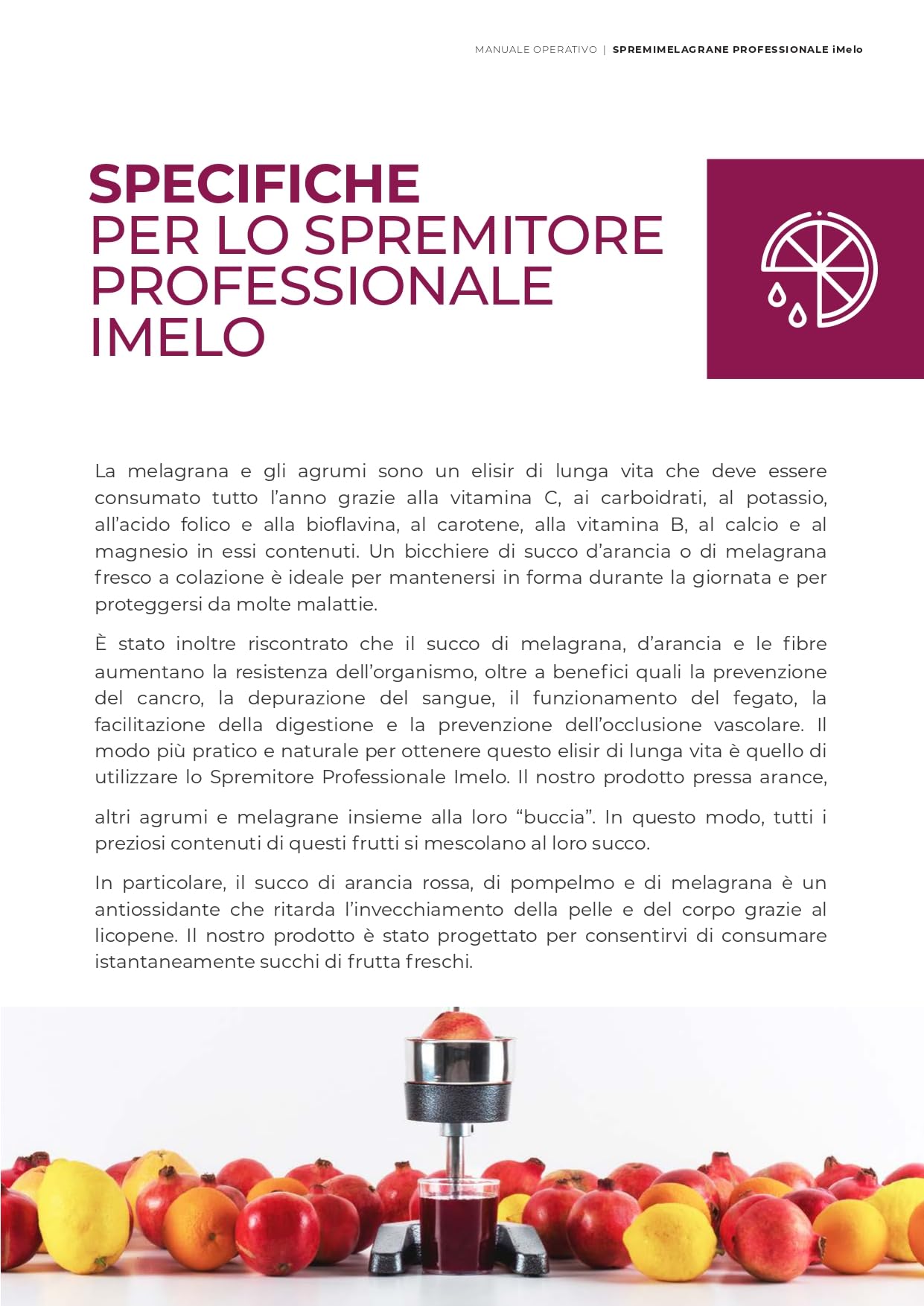 Spremi melograno e spremiagrumi manuale professionale - spremi melagrane, arance, limoni e tutti i tipi di frutta - senza elettricità