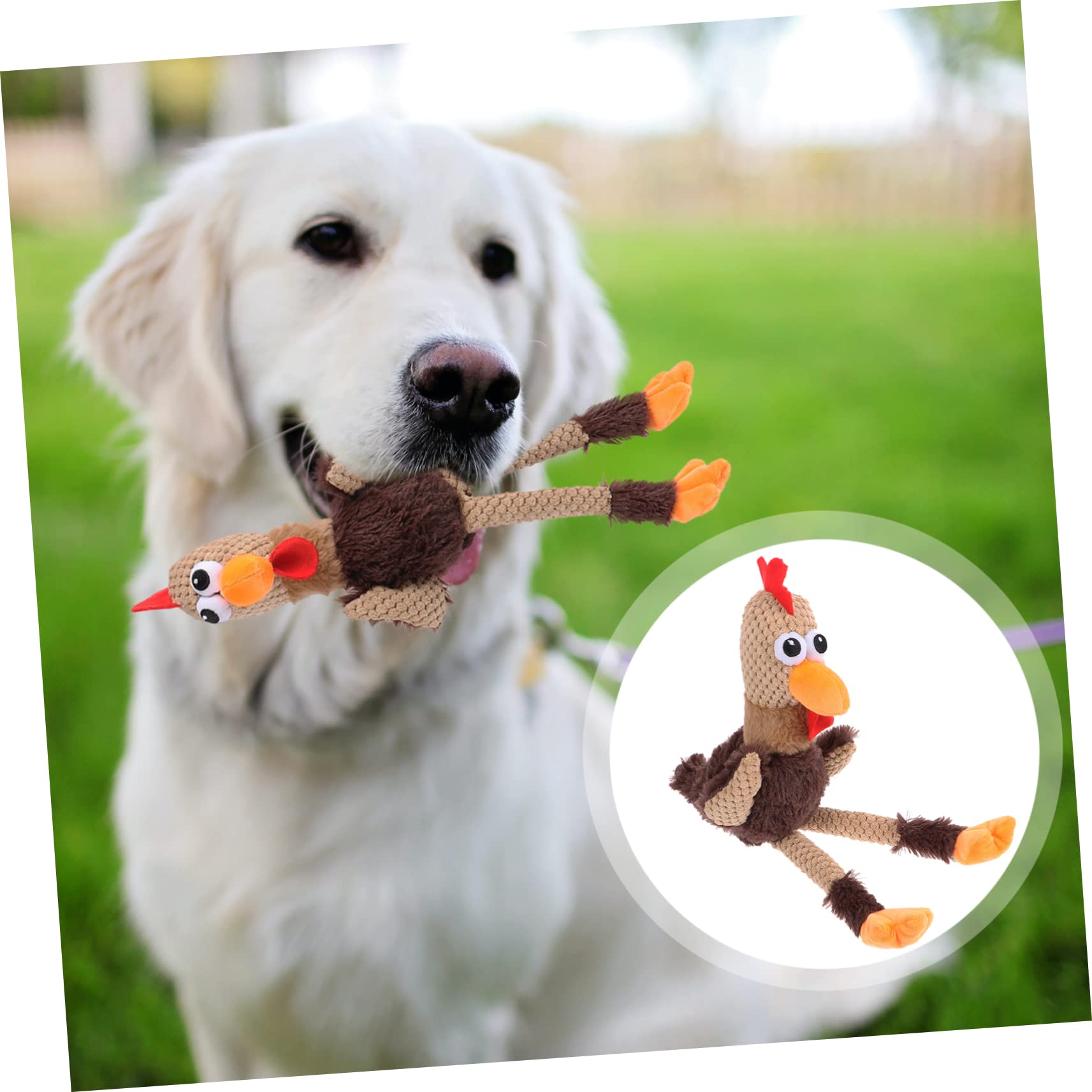 Angoily 3piezas Juguete Masticable para Perros y Gatos Muñeco De Peluche para Limpiar Dientes para Mascotas Pequeñas y Medianas Diversión y Compañía Casa