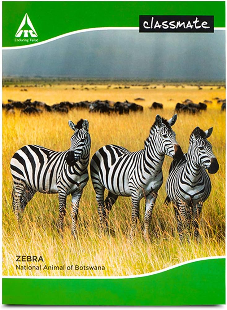 Classmate Notebook 180 Pages(24 X 18cm) Pack of 10