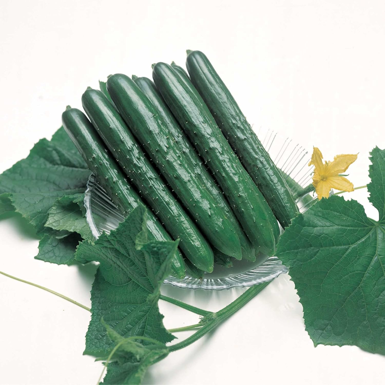 Cucumber Seeds - Summer Top - Hybrid - 1 Oz ~1100 Seeds - Non-GMO, F1 Hybrid - Asian Garden Vegetable