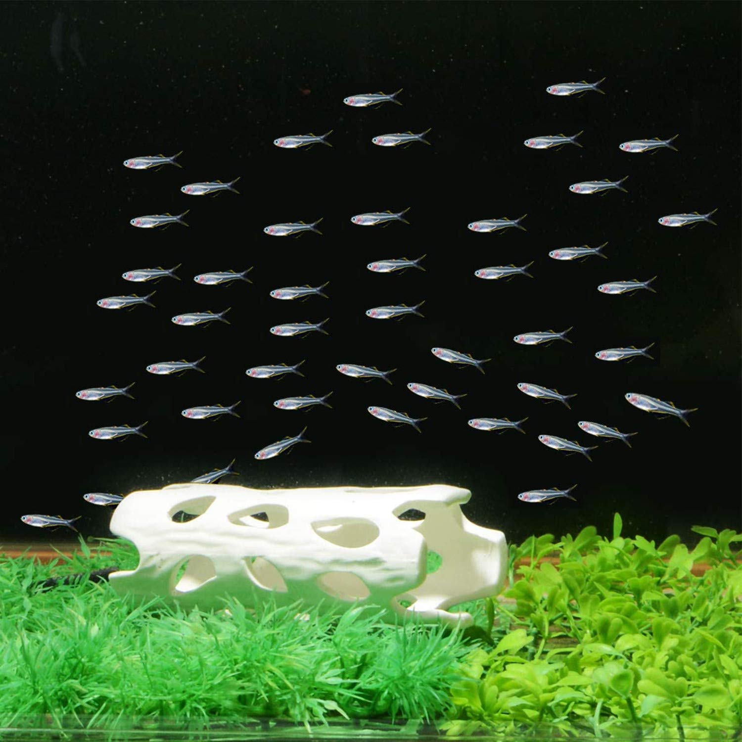 Garnalenschillen – Shelter Grot, Aquarium Decoraties | Garnalen Tunnel Ontwerp met Garnalen Beschermer, Duurzame Aquarium Grot voor Garnalen Grot Acces Garnalenschillen – Shelter Grot, Aquarium Decoraties | Garnalen Tunnel Ontwerp met Garnalen Beschermer, Duurzame Aquarium Grot voor Garnalen Grot Acces