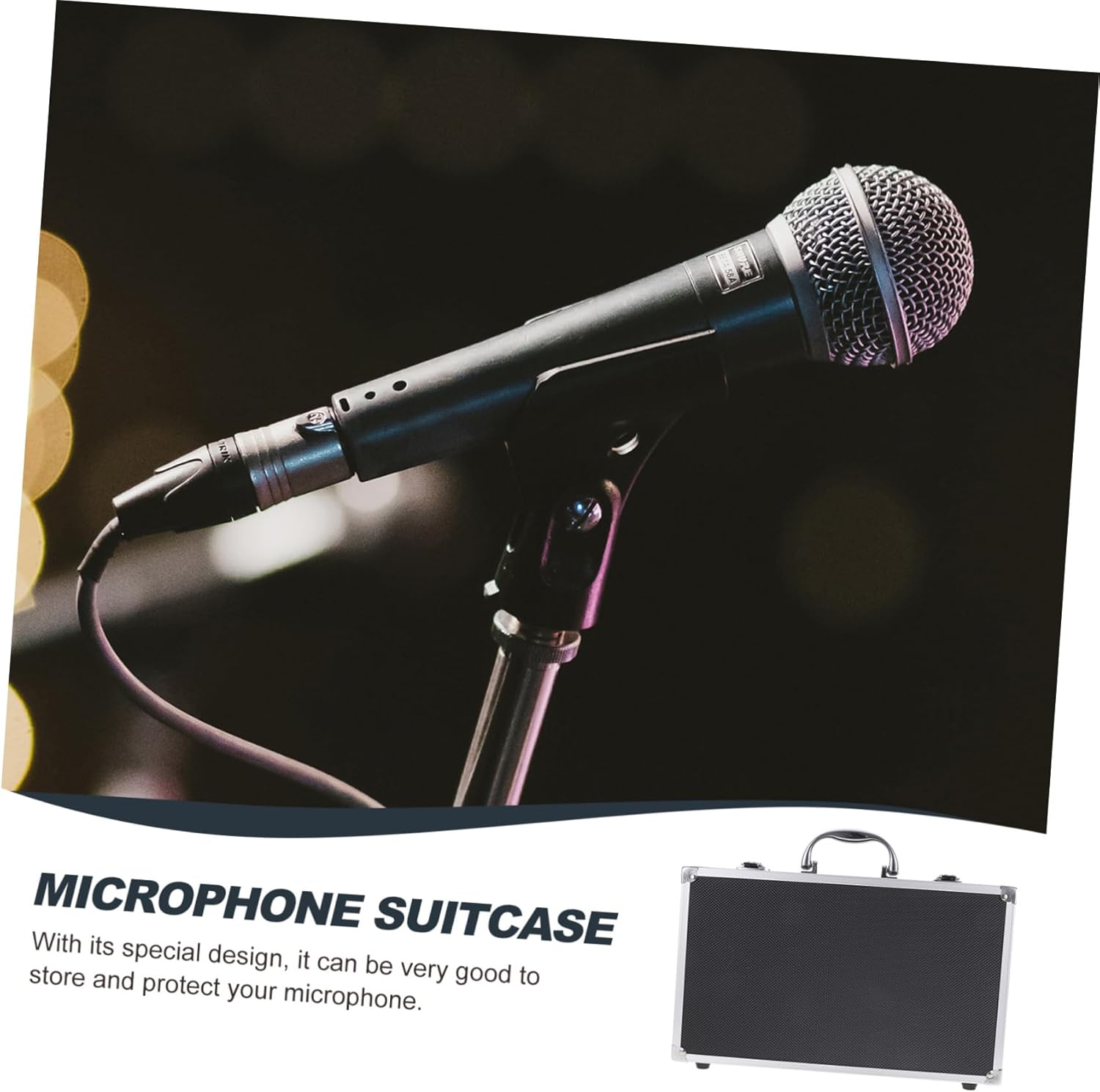 Portable Microphone Storage Dual Microphone Case Box Organizer for Studio