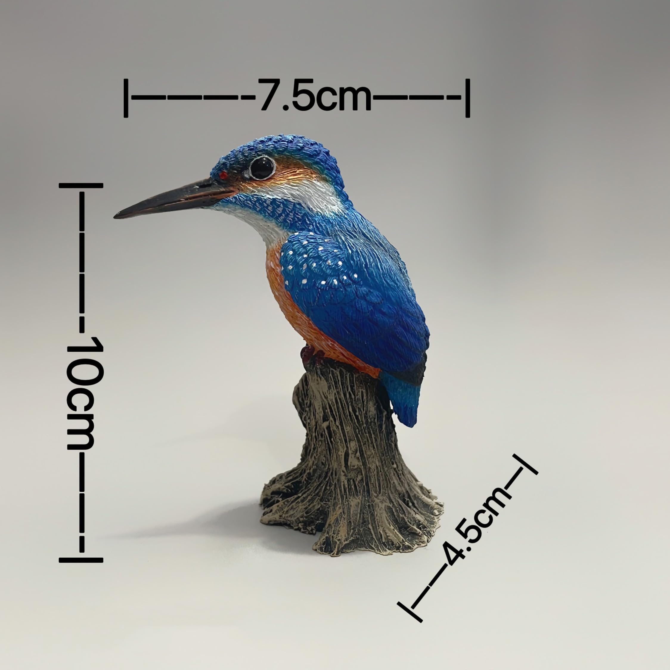 Amazon.co.jp: TALKLEK リアルな樹脂カワセミの置物 鳥の装飾 繊細 Amazon.co.jp: TALKLEK リアルな樹脂カワセミの置物 鳥の装飾 繊細