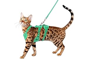 Escape-Proof Cat Harness with Leash: Ensure Your Cat's Safety on Outdoor Adventures