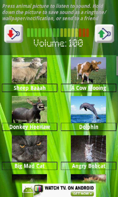 Animal Sounds With Pics (Free) - App on Amazon Appstore