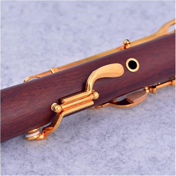 Professional Clarinet Bb Redwood Gold Plated 20 Keys Turkish Rosewood Clarinet (Color : T21)