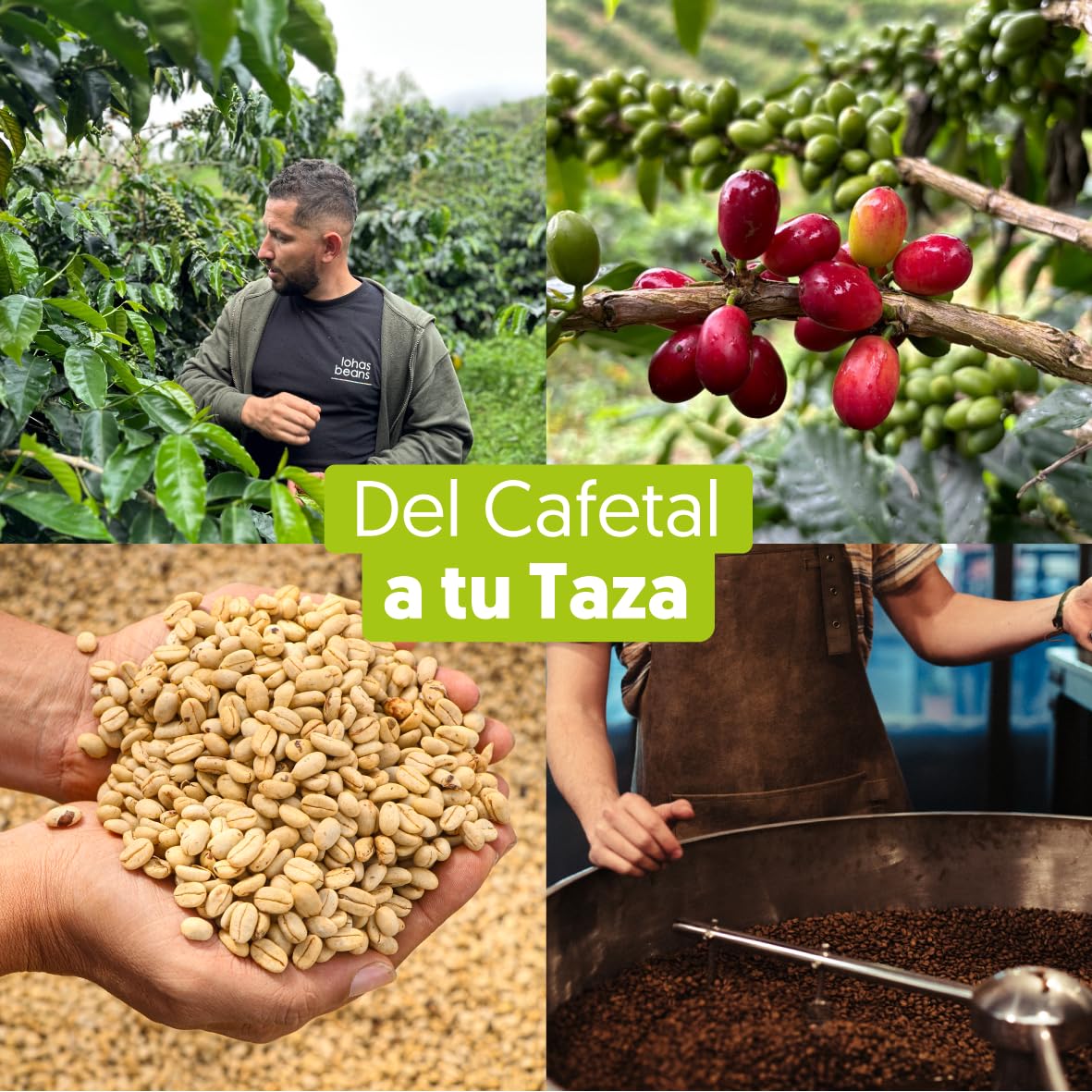 EBOCA Café en Grano Ecológico 1kg (2x500g) – 100% Arábica de Especialidad, Origen Colombia, Comercio Justo (Fairtrade), Tostado Artesanal en Huesca, Tueste Medio para Espresso y Filtro