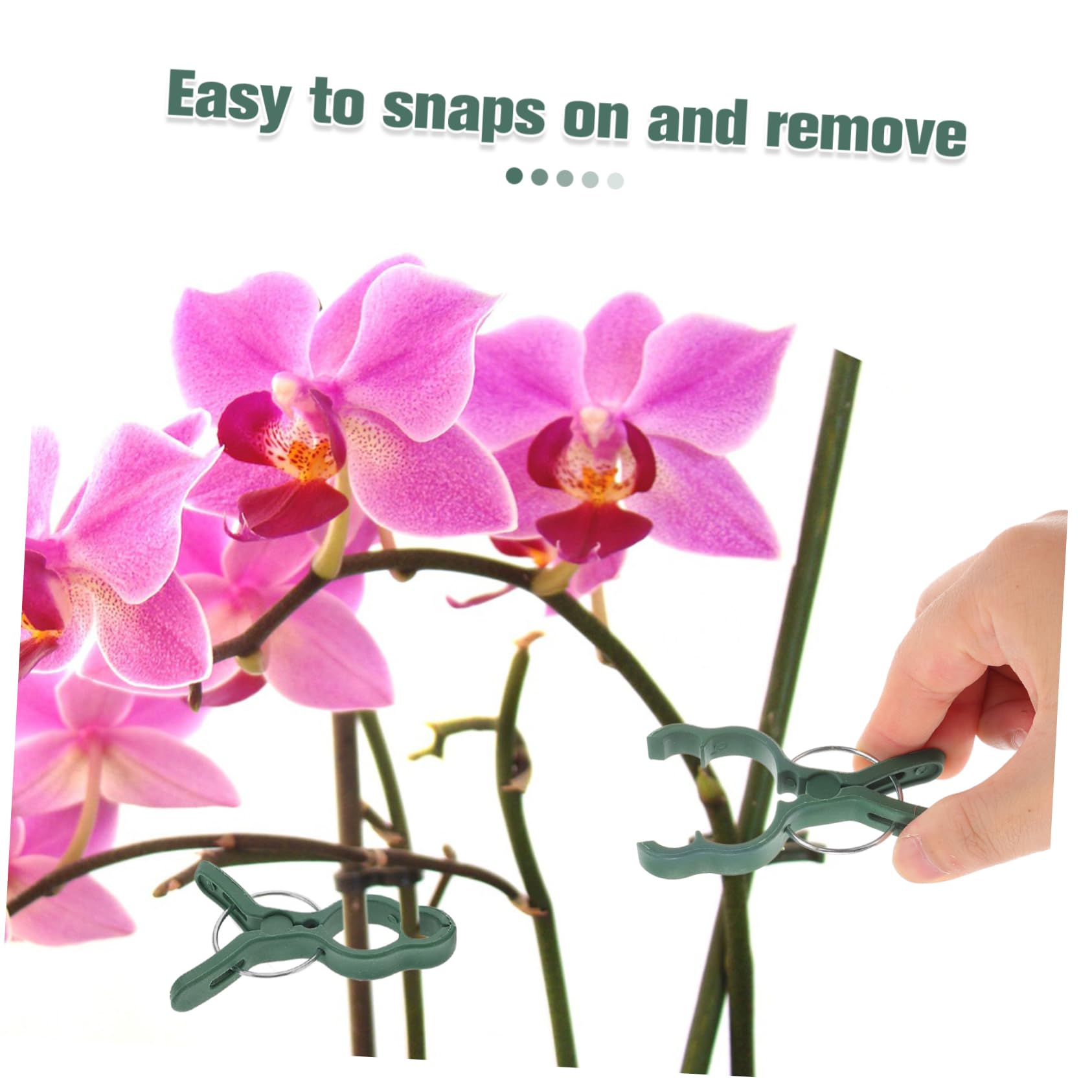 Set di 50 Clip in Plastica per Supporti per Pomodori, Resistenti e Facili da Usare, per Phalaenopsis e Piante da Giardino