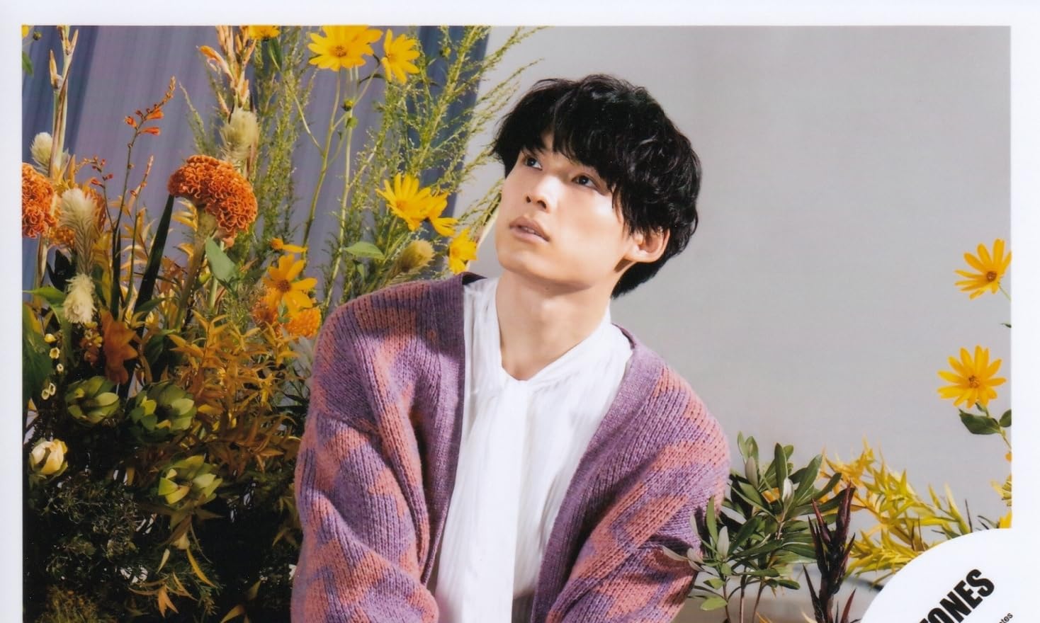 Amazon.co.jp: Six TONES 公式 生 写真（松村北斗）ST00593 : おもちゃ