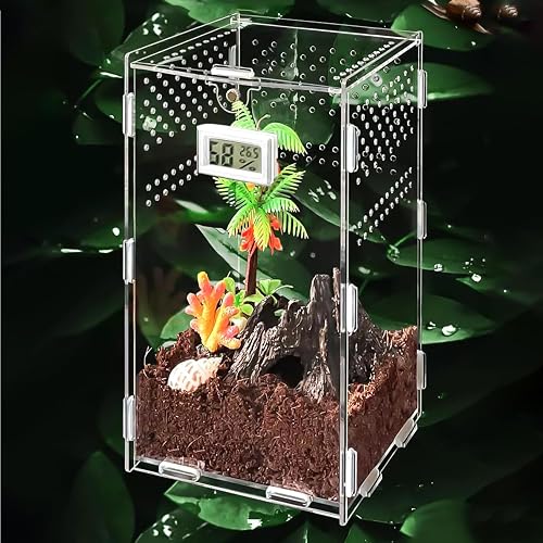 Nizirioo Caja de Alimentación Acrílica para Reptiles: Transparente Con Higrómetro Electrónico, para Insectos