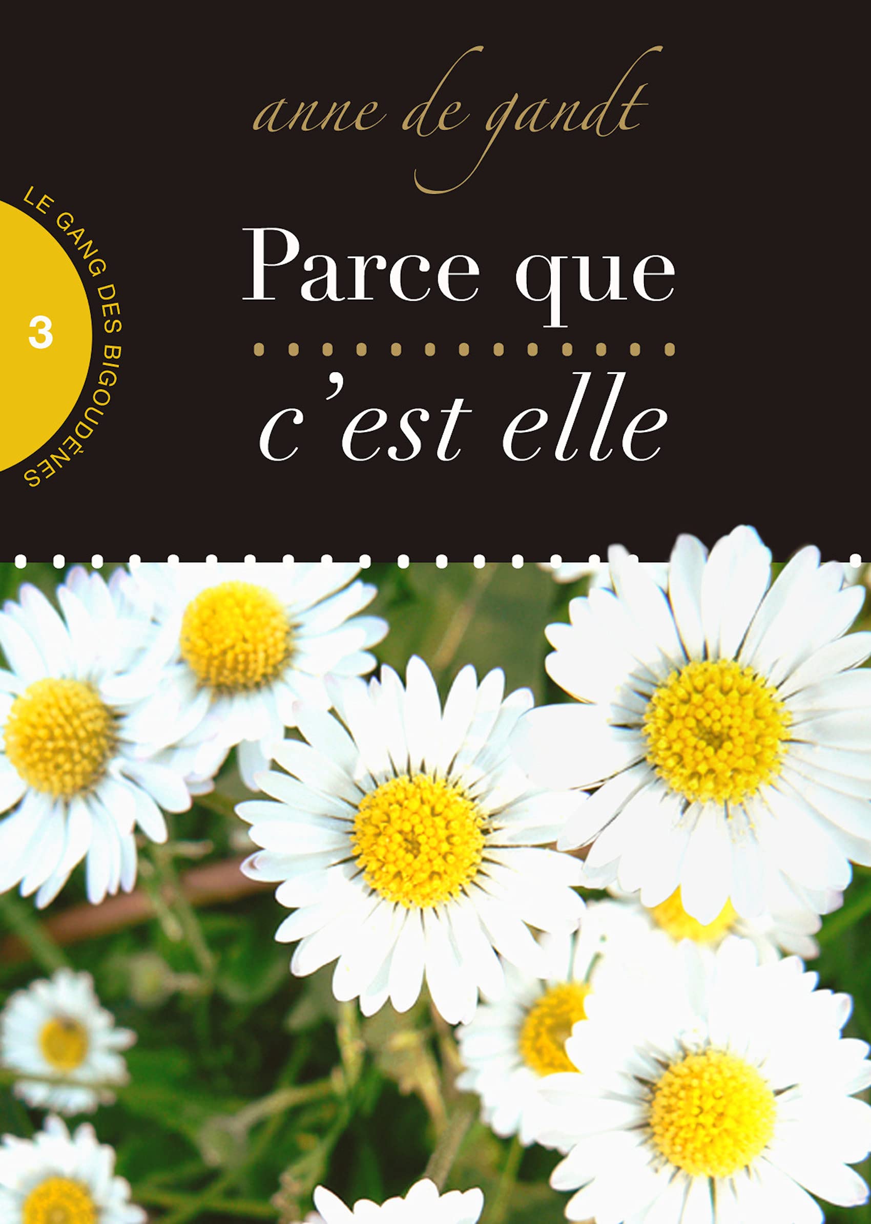 Parce que c'est elle (Saison 3) (Le gang des bigoudènes) (French Edition)