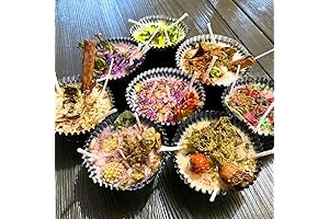 BlkGrlMagick Hearth Fire Starter: Single Pumpkin Chai Latte Scented Wax Tart