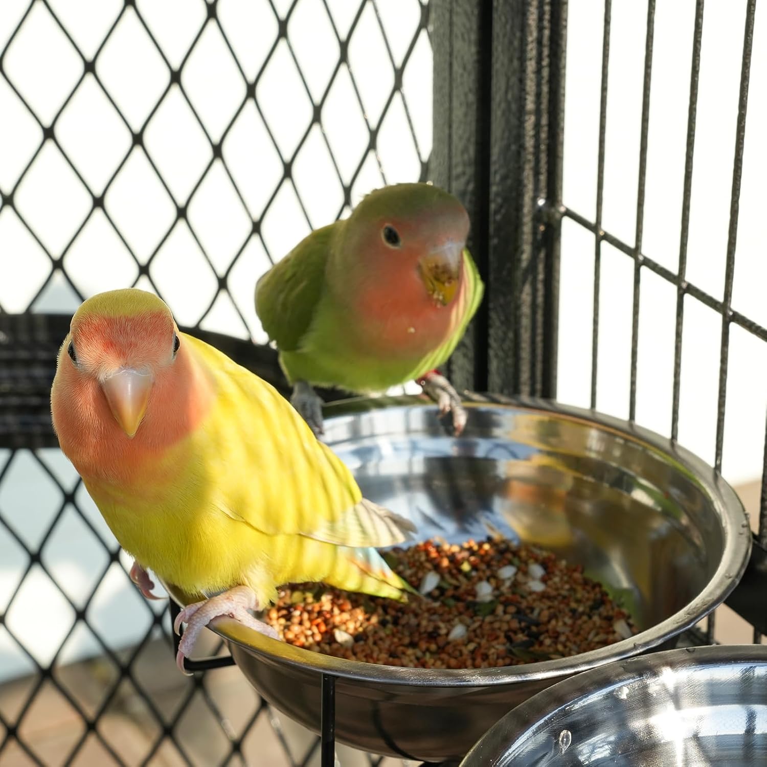 Large Walk-in Cage 77-inch Heavy Duty Birdcage Outdoor Diamond Grid Aviary Parrot Cage Wide Flight Metal Birdcage for Macaw Budgie Conure Lovebird Parakeet Cockatiel, 6.4x3.87x5.91ft, Silver