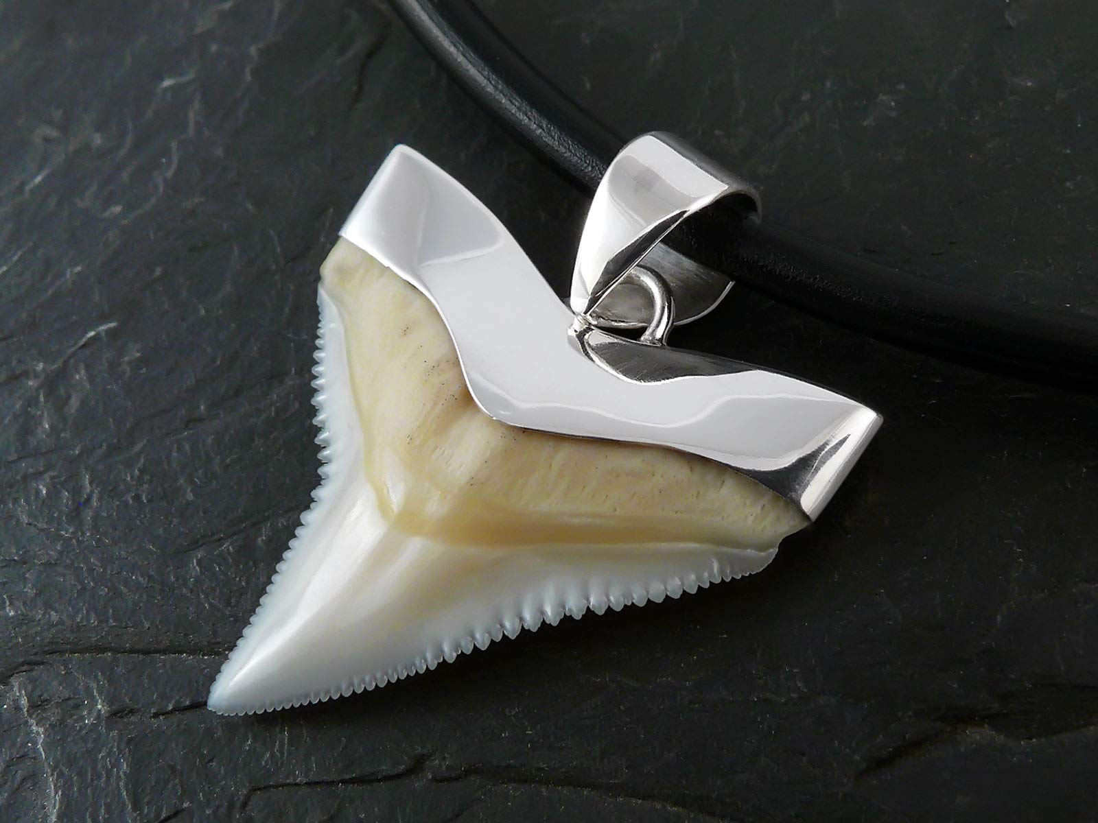 Fly Style Echt Hai Zahn Ketten Anhänger mit 925 Silber Fassung - Haifischzahn Kette