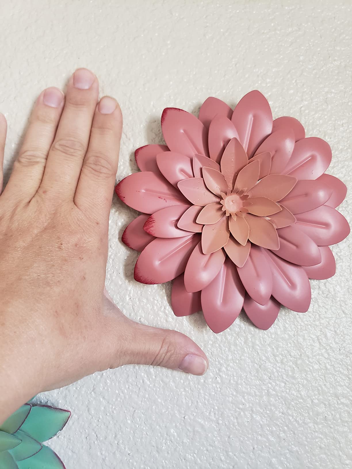 2/mo Finance 3D Metal Succulent Wall Decor Pink, Hand Painted
