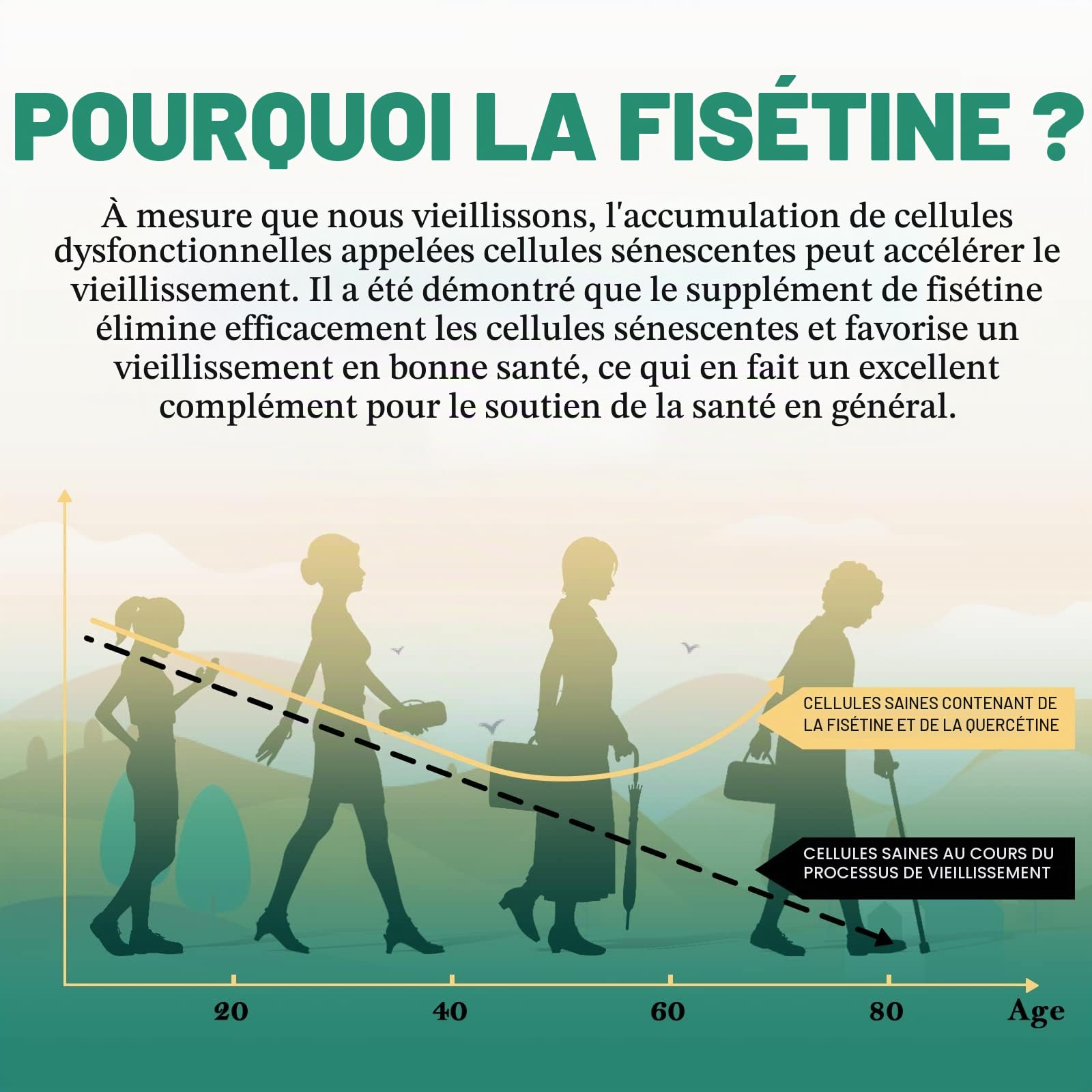Fisetin Liposomal avec Quercetin 1200 mg - Antioxydant Efficace pour une Santé Optimale (60 Unités (Lot de 2))