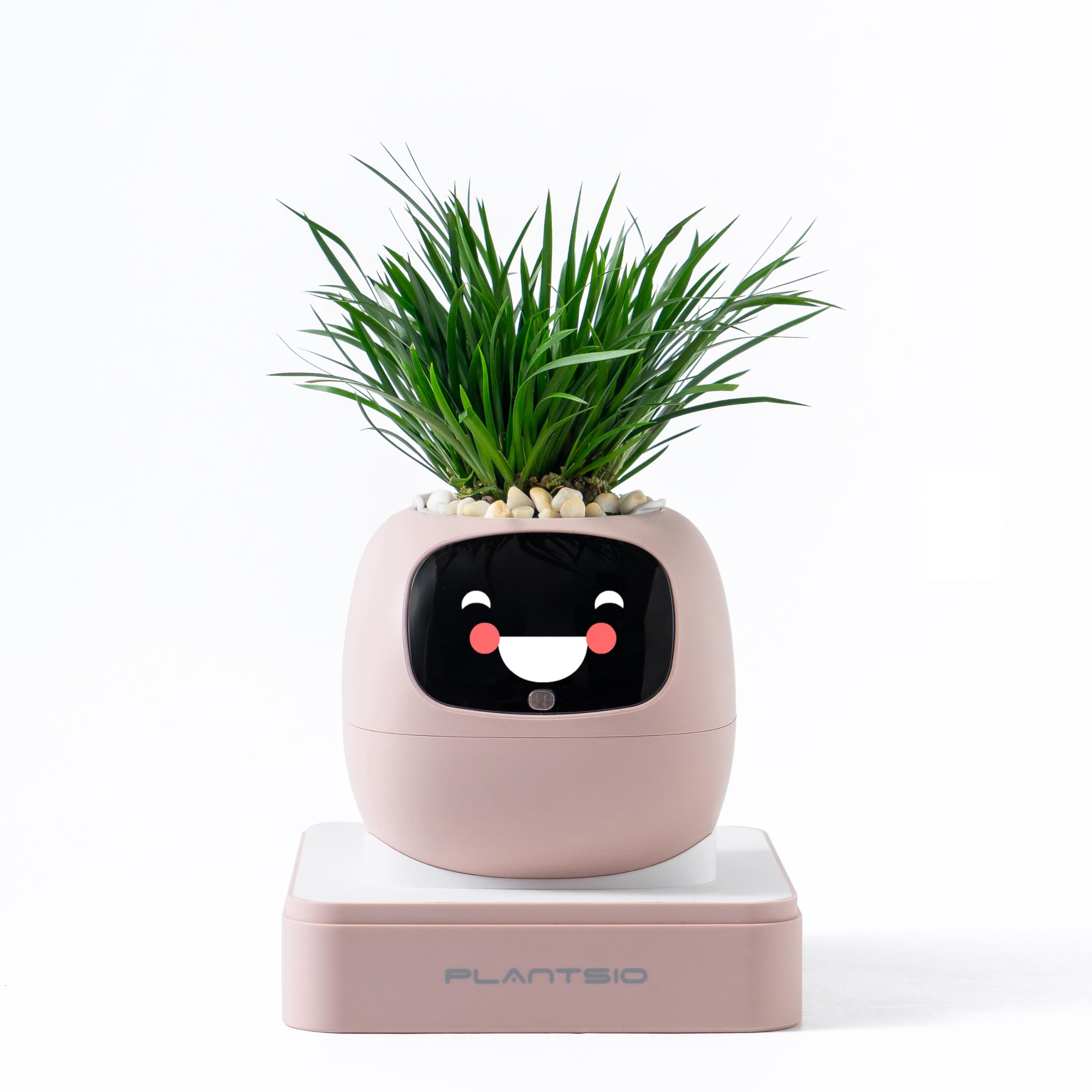 PLANTSIO Ivy Interaktiver KI-Schreibtisch-Begleiter, intelligentes Pflanzentier mit über 100 Ausdrücken, niedlicher Indoor-Pflanztopf für Bürodekoration, einzigartiges Geschenk für Pflanzenliebhaber