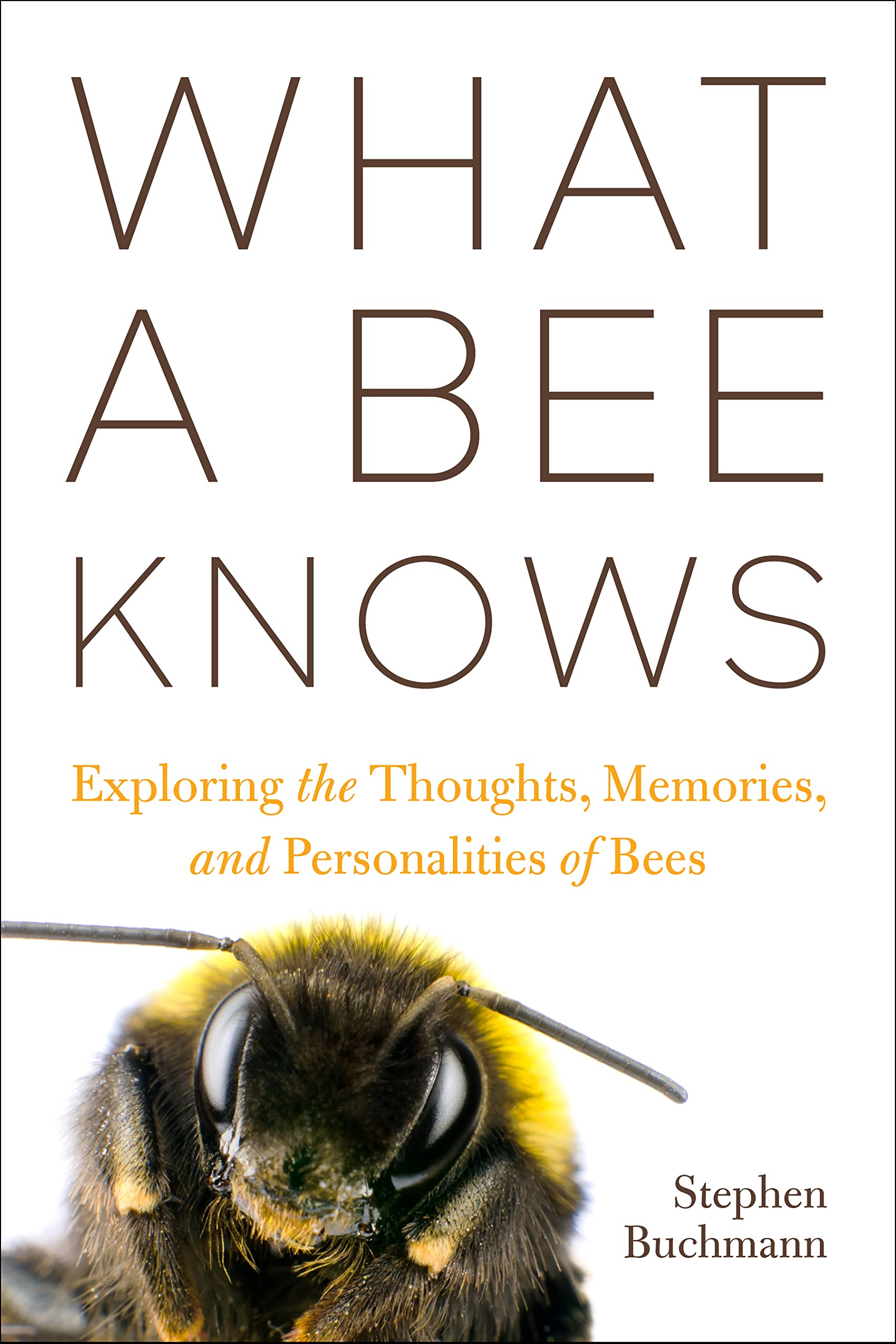 What a Bee Knows by Stephen L Buchmann PAPERBACK 9781642833911