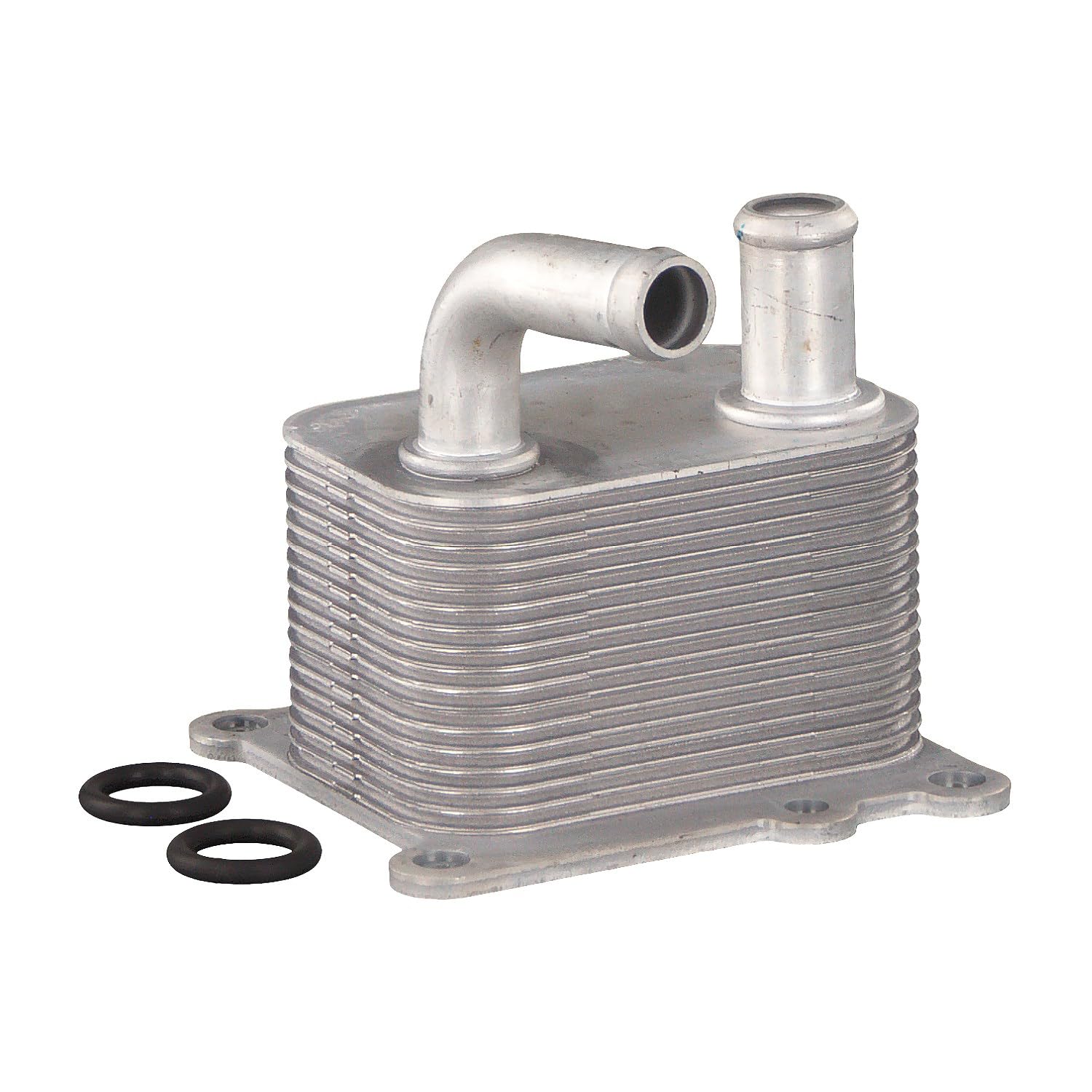 Febi bilstein 170177 - Enfriador de aceite, 1 unidad