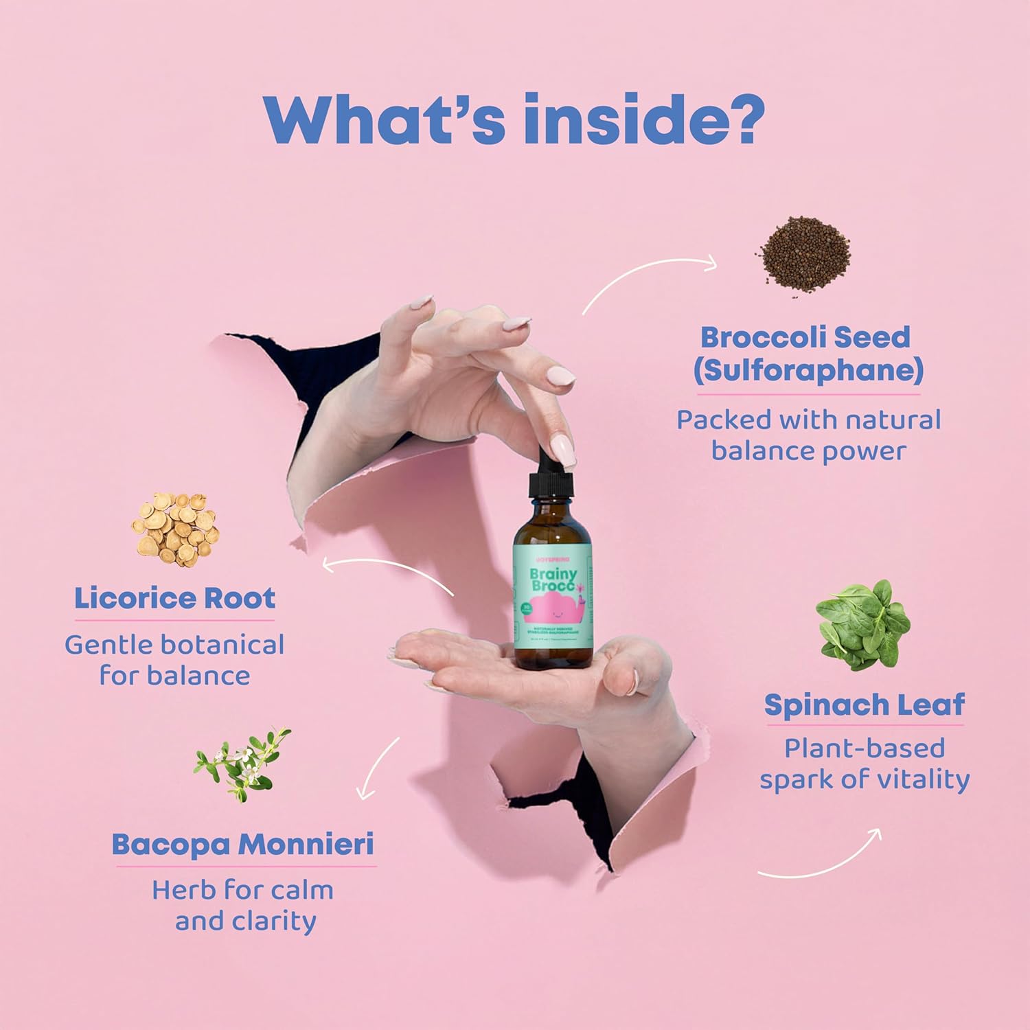 JoySpring Broccoli Supplement for Kids | Sulforaphane & Bacopa Monnieri Drops | Supports Cognitive Function | Vegan & Kid-Friendly