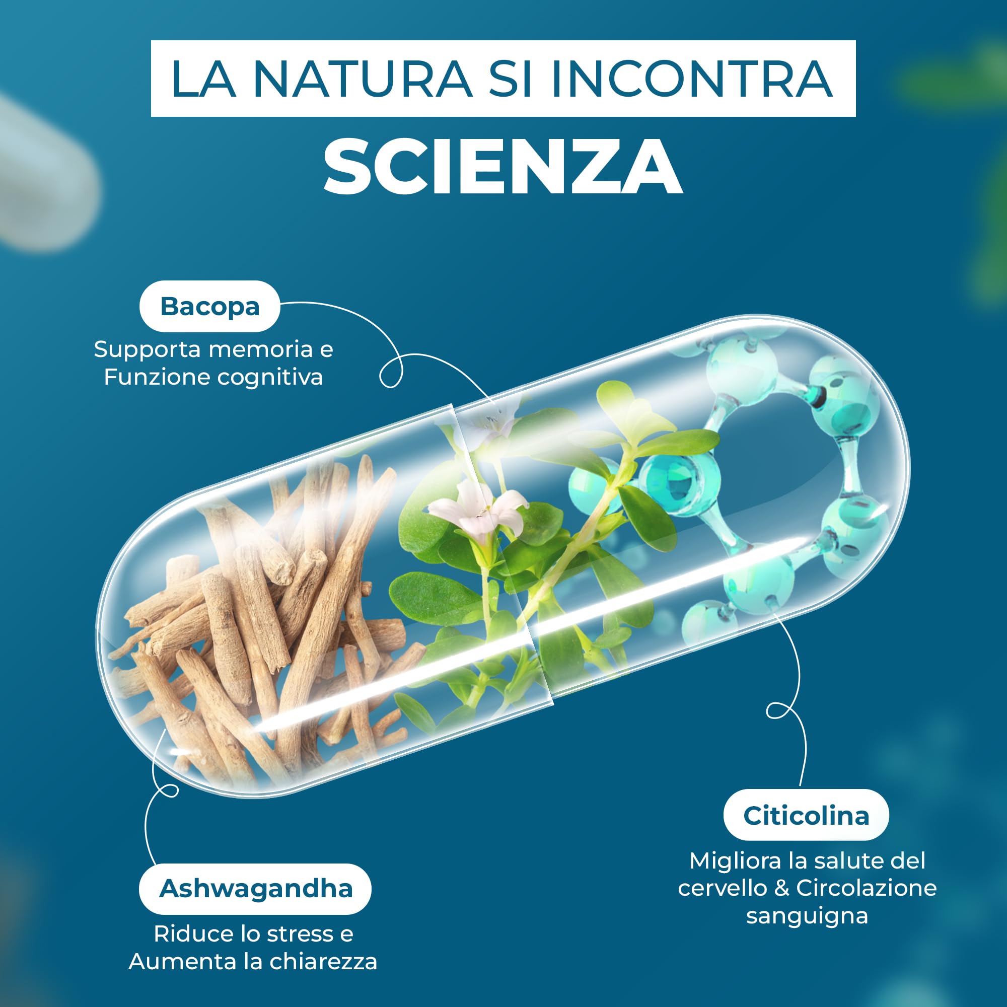 ORBIS NEUROWIT per me Memoria e funzione cognitiva Sulemet con Bacoa Moieri e Ahwagadha Ridurre lo stress e creare concentrazione AtiStre Suort per me 90 Caule
