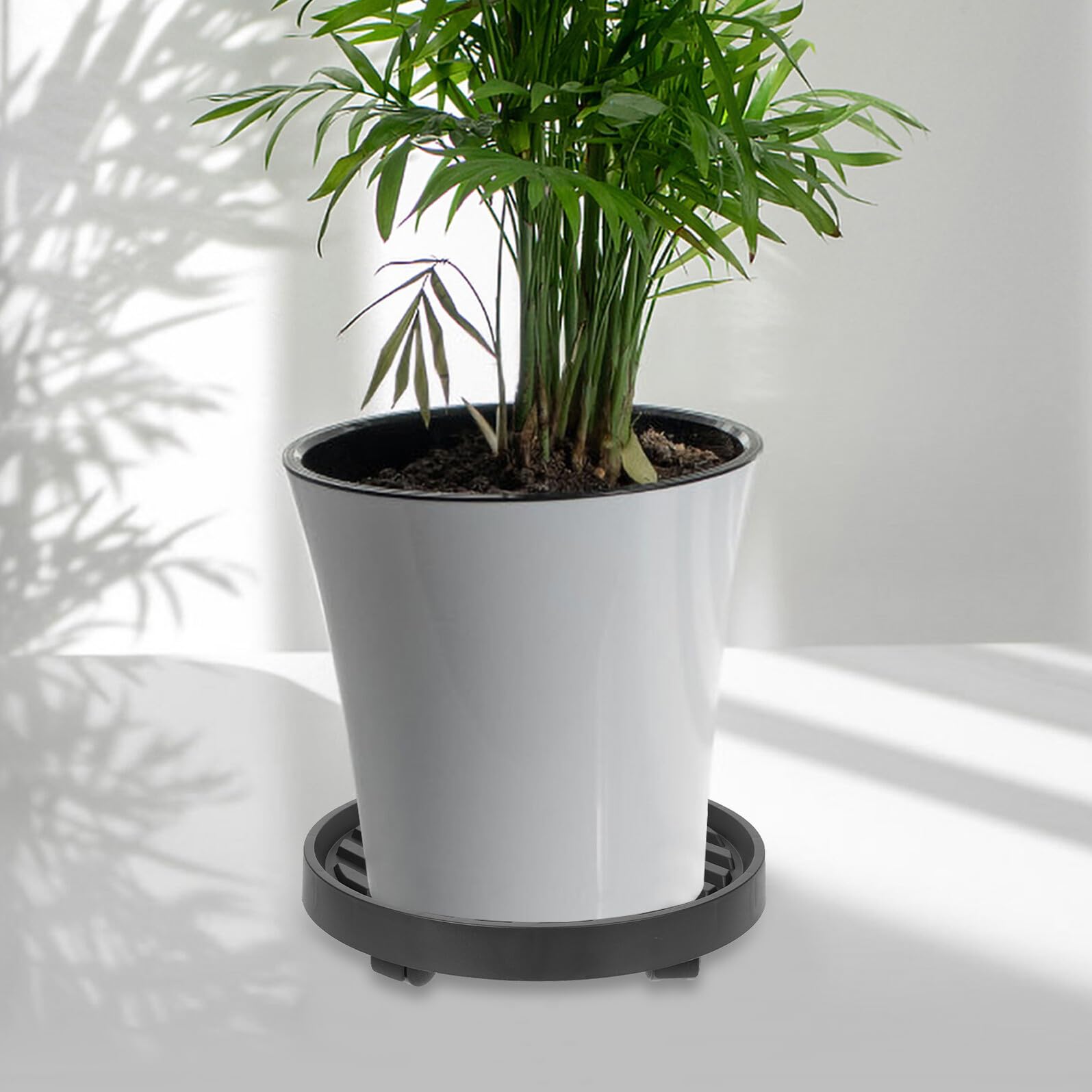 Toyvian Vassoio per Piante con Ruote in Plastica Nero, Portavaso Mobile con Funzione di Raccolta Acqua per Piante e Grandi Alberi da Interno e Balcone