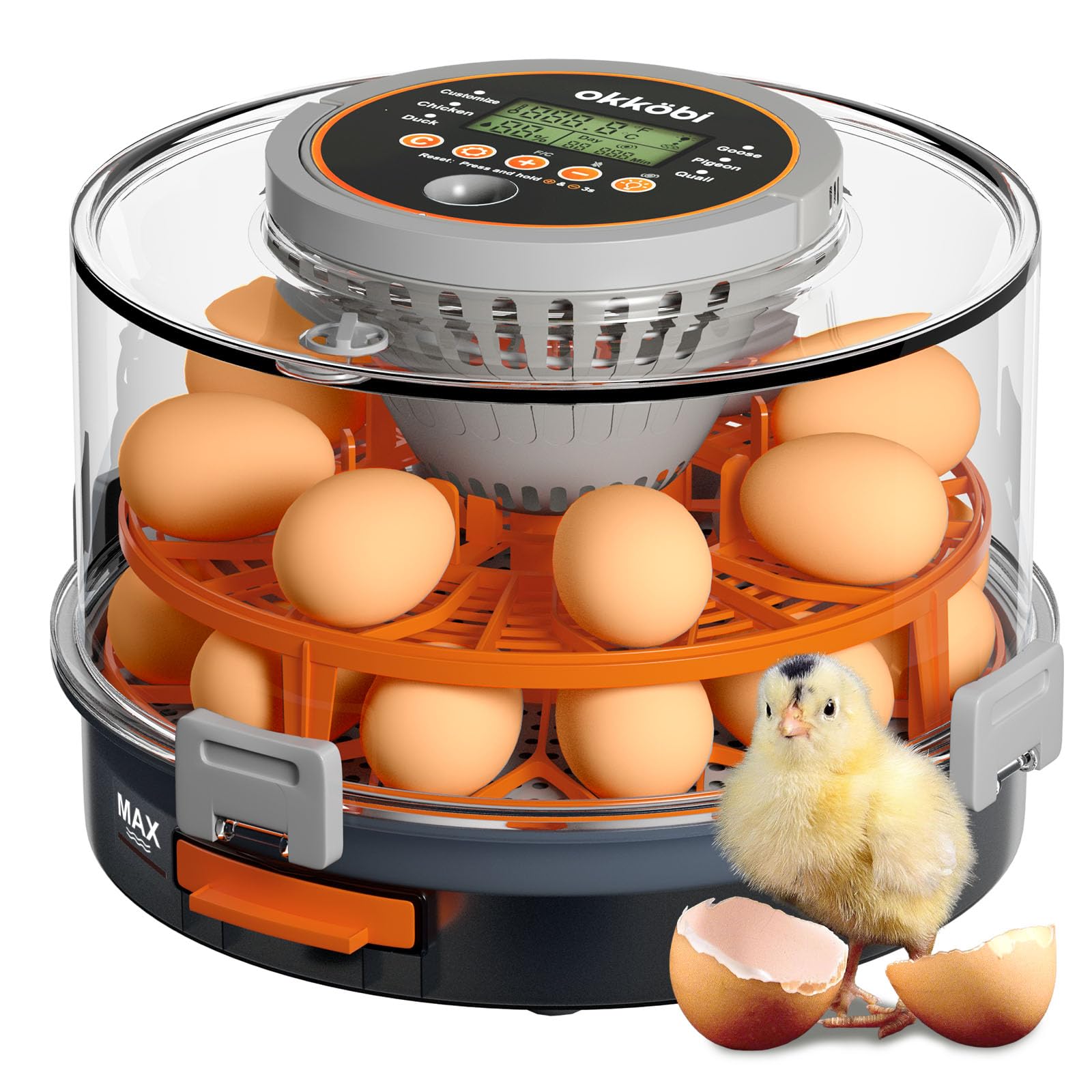 Incubatrice per uova automatica Okköbi – Incubatrice per 12 o 20 uova gallina – Controllo automatico temperatura e umidità – Gira uova – Luce per test uova – Facile da usare
