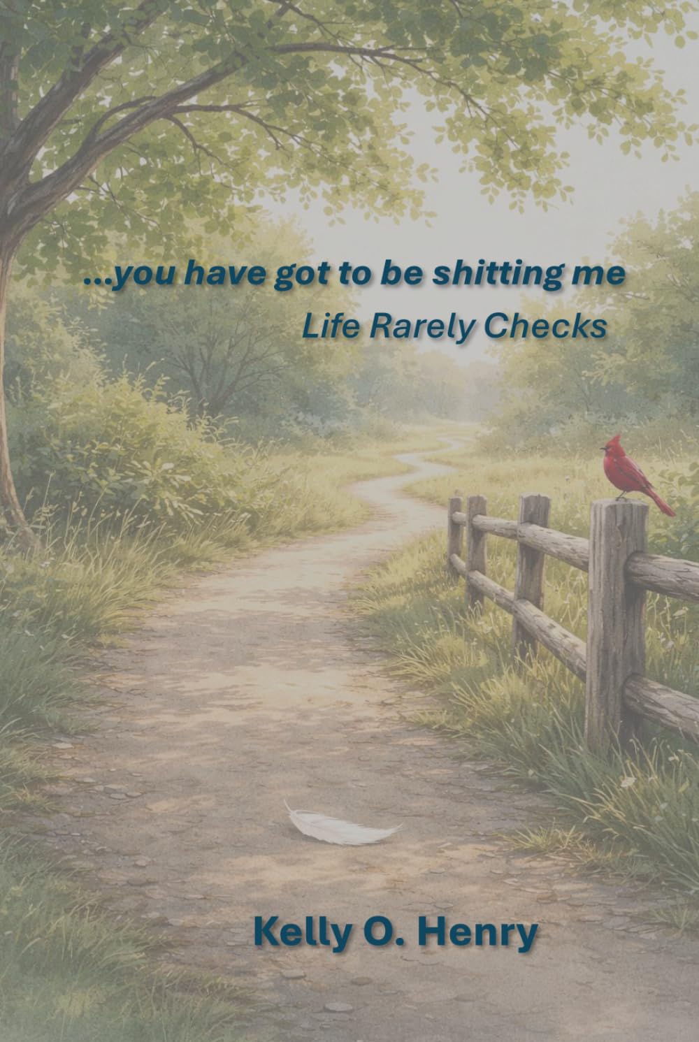 you have got to be shitting me: life rarely checks