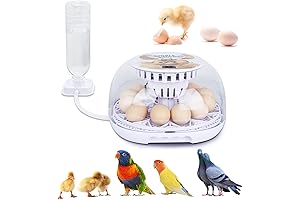 NORJIN Egg Incubator - Facilitate Your Hatching Journey