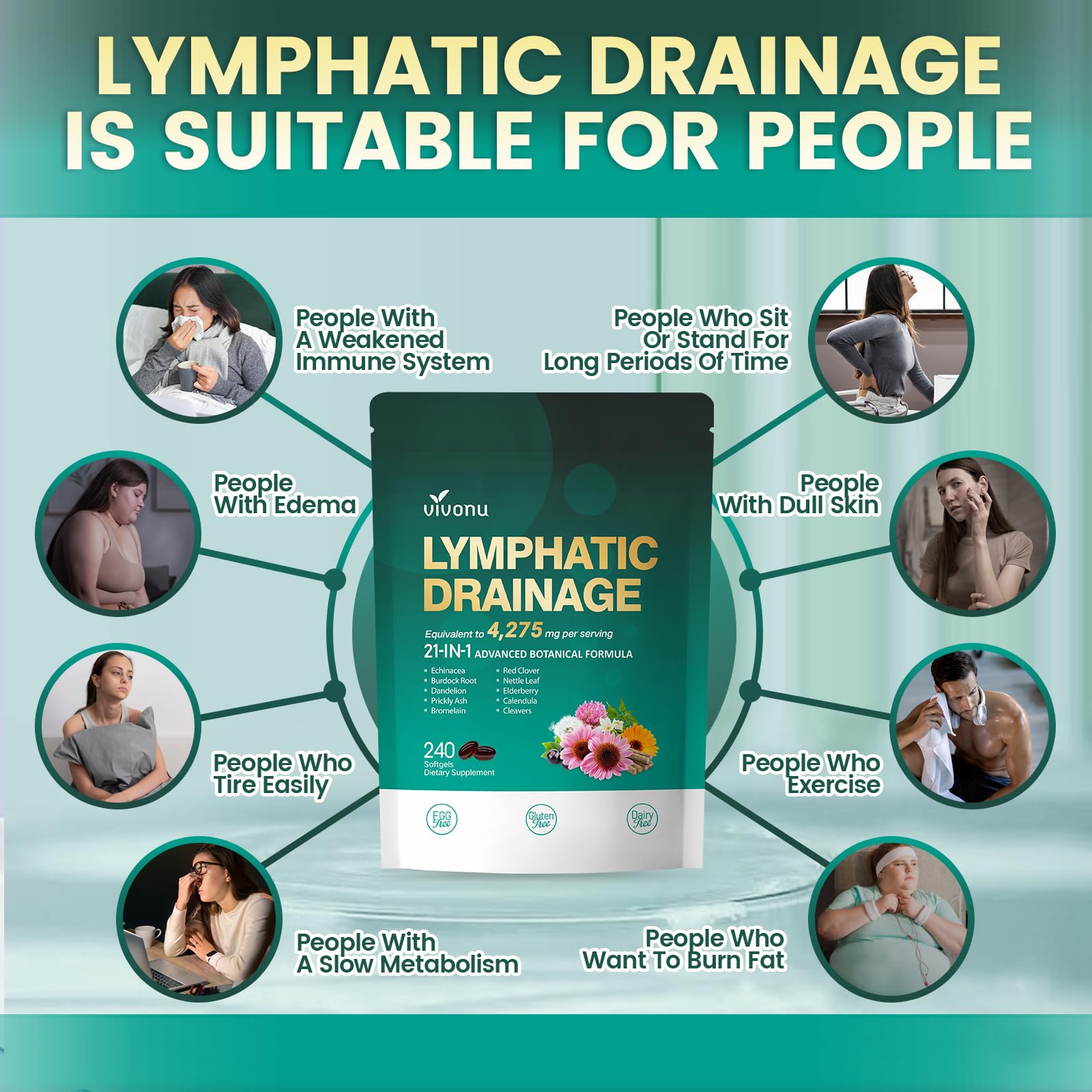 VivoNu Lymphatique 240 pcs - Soutient l'Absorption Système Immunitaire - l'Équilibre et le Bien-Être - Contre Jambes Lourdes - 100% Naturel - Sans OGM