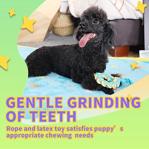 Miniatura 7 de ALL FOR PAWS Juguete para cachorros Heartbeat, kit de iniciación para aliviar la ansiedad, kit de bienvenida para el hogar de mi cachorro con una