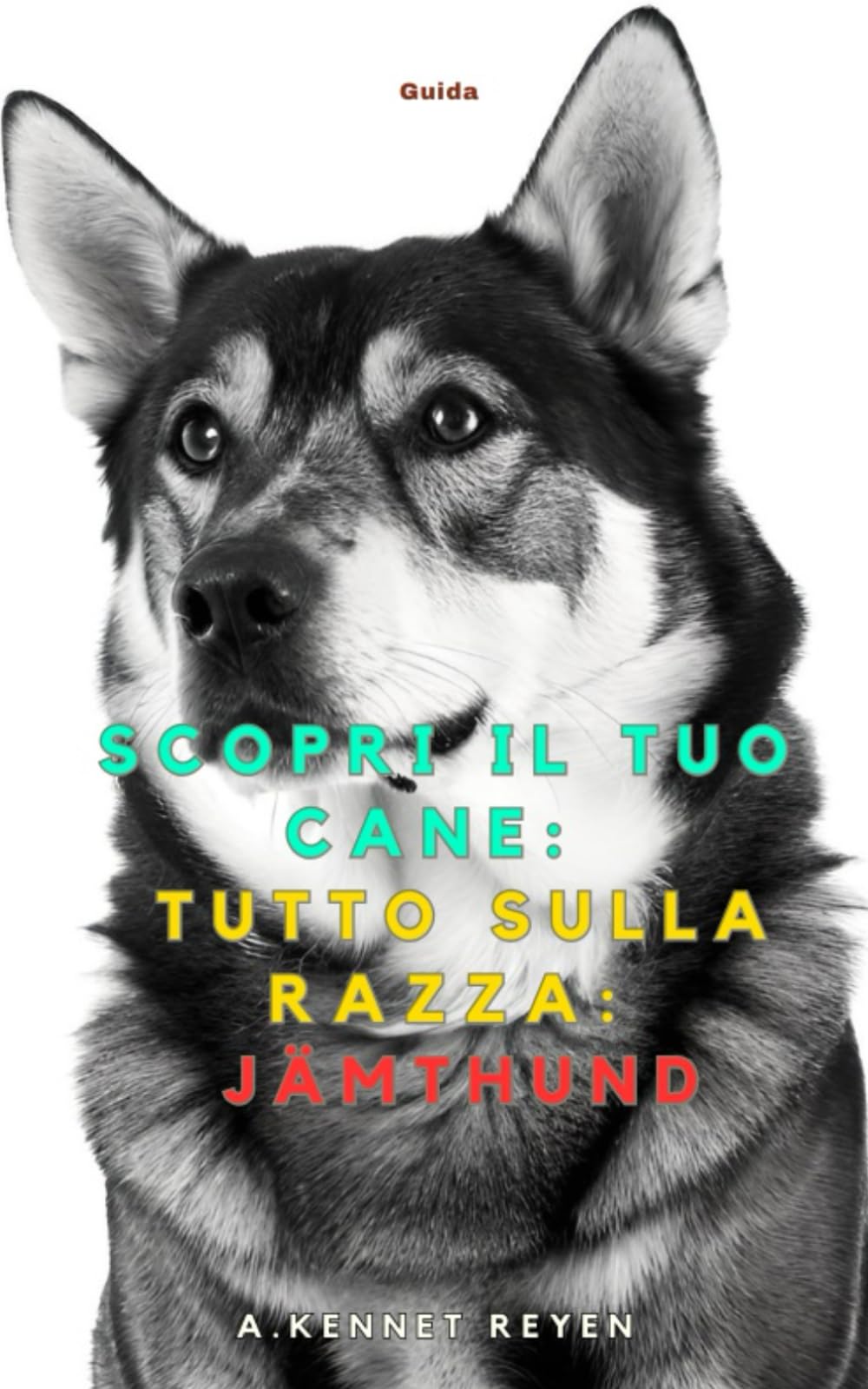 Scopri il tuo Cane:Tutto sulla razza: Jämthund