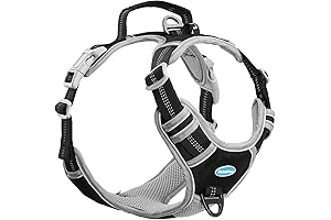 Blue-9 Balance No Pull Dog Harness