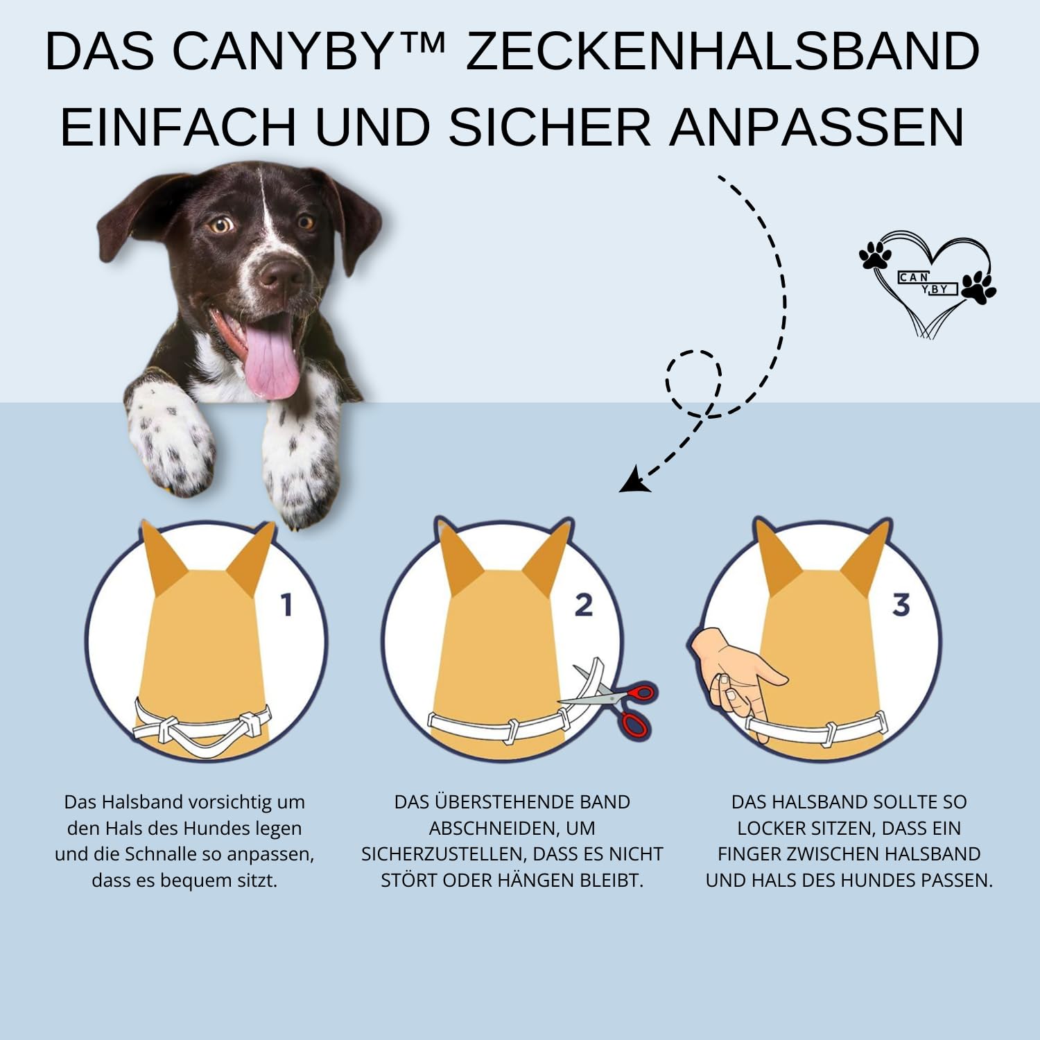 Seresto Zeckenhalsband Für Hunde – 2 Größen Im Set | Bis Zu 8 Monate Schutz | Gegen Zecken & Flöhe