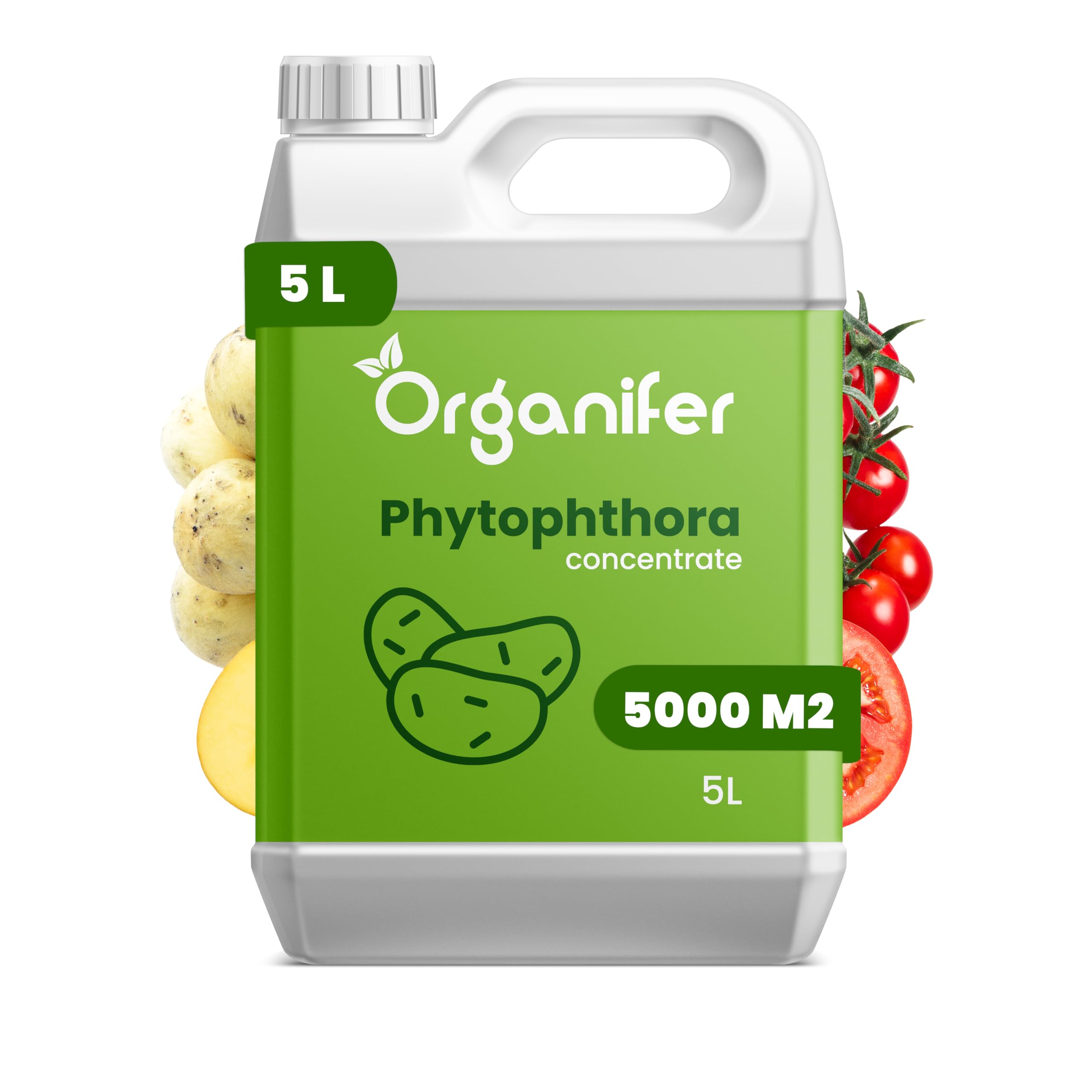 Koncentrat Phytophthora - Preparat Do Ziemniaków I Pomidorów - Pielęgnacja Roślin - Nawóz Do Roślin - Organifer (5 L)