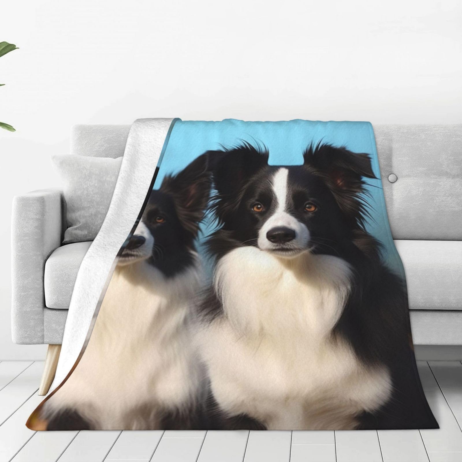KLOPH Border Collie Throw Blanket 80"x60" Flannel Fluffy Warm Blanket for Couch, Reversible Plush Blankets for Bed, Comfy Fuzzy Blanket for Sofa, Plush Lightweight-Blankets for All Season