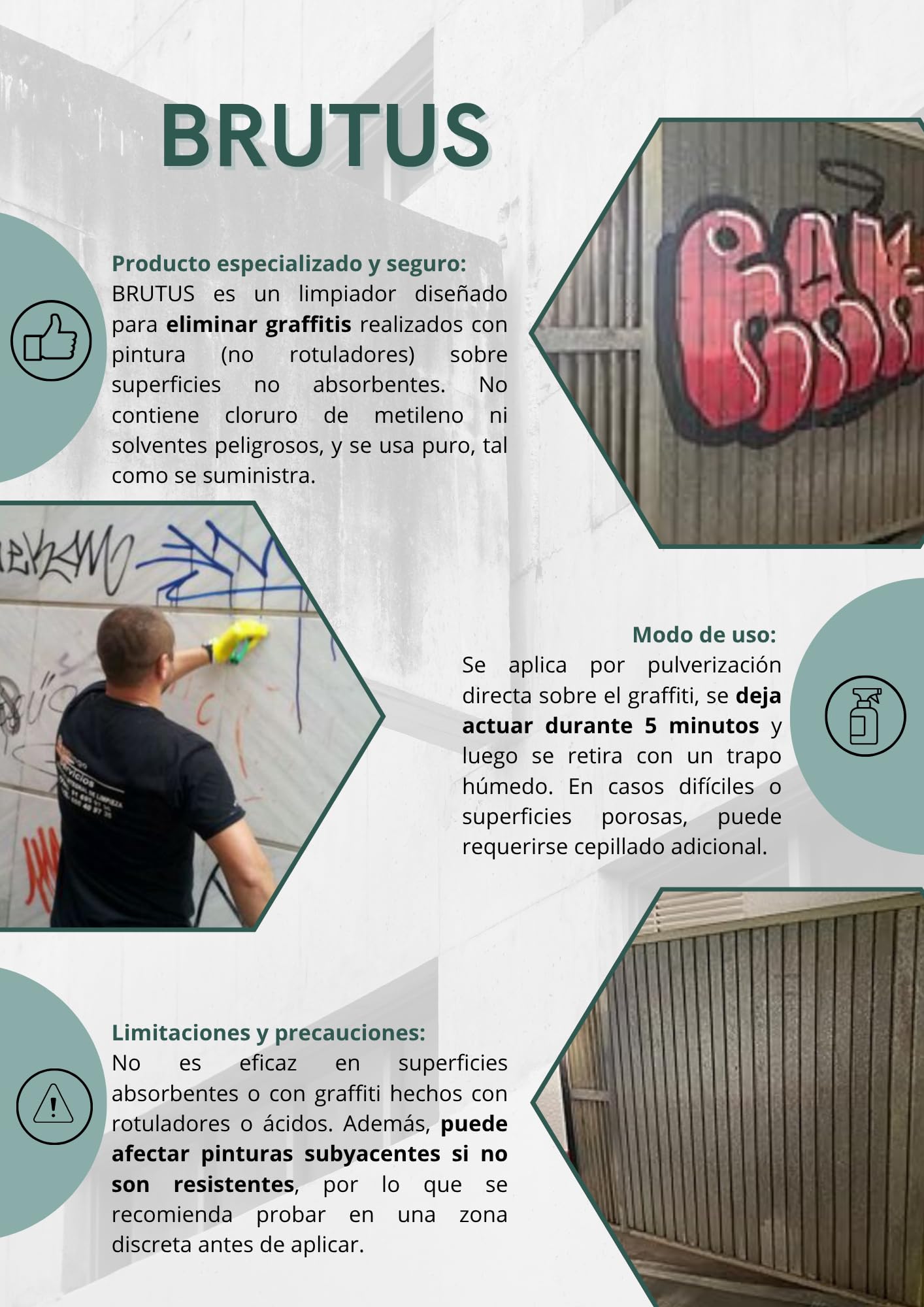 Nettoyeur de graffitis BRUTUS - SATECMA