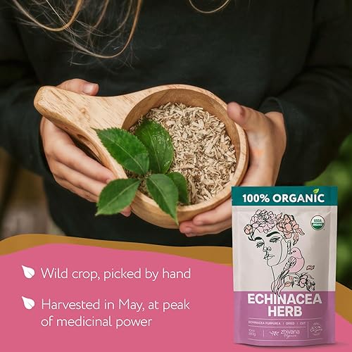 Miniatura 8 de Zhivana Organics - Té de equinácea orgánico 10 onzas, hierba de Echinacea Purpurea en hoja suelta, orgánica, té para fortalecer las defensas del