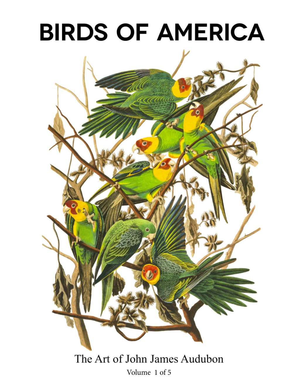 Birds of America 1 of 5 : l'astuce déco pour habiller un mur blanc vide avec style