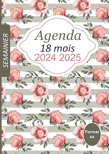 Agenda 18 mois: Semainier une semaine sur deux pages, 18 mois de juin à décembre, grand format pratique A4
