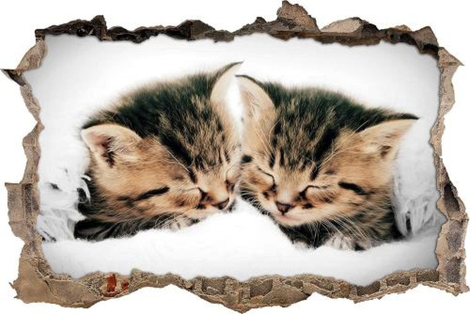 Gougeltd Calcomanía de Pared 3D Pequeños gatitos lindos abrazan Impermeable Paisaje Agujero Etiqueta de La Pared Adhesivos de Pared para Interior Hogar Sala de Estar Decoración de Oficina 80x120cm