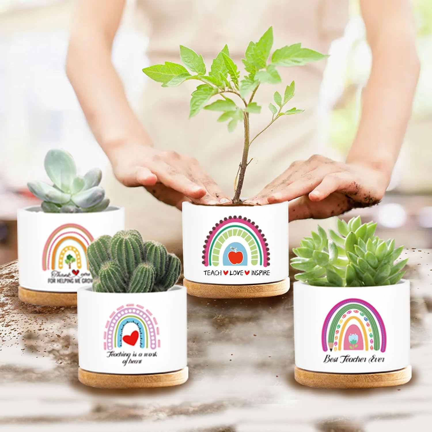 4 Pcs Teacher Appreciation Gifts Funny Ceramic Succulent Plant Pot Teacher Planter Pot Thank You Gifts for Coworker Teacher Valentines Birthday Gift, Plants Not Included
